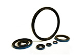 Rotary Shaft Seals