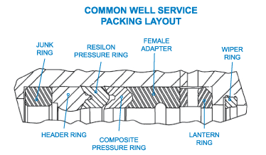 Parker Well Packing Seal Diagram