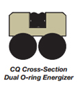 CQ Dual Cross Section