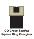 CQ Cross Section