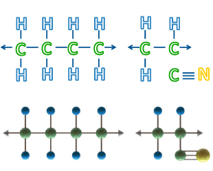 Hydrogenated Nitrile Molecular Structure
