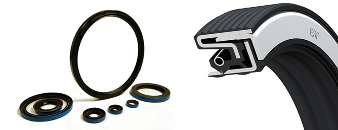 Radial Shaft Seal